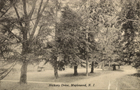 Photo only available in the library